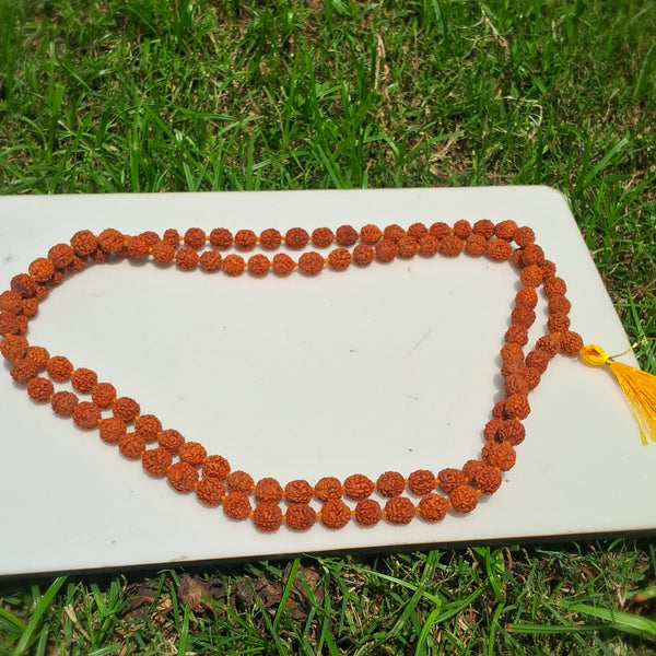 rudraksh mala