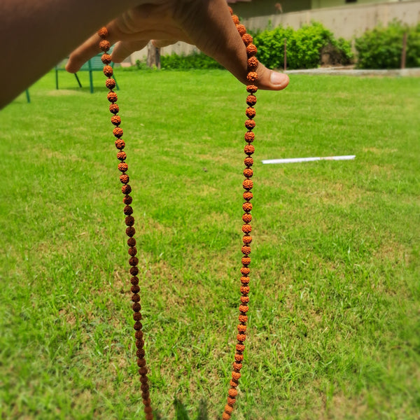 rudraksh mala