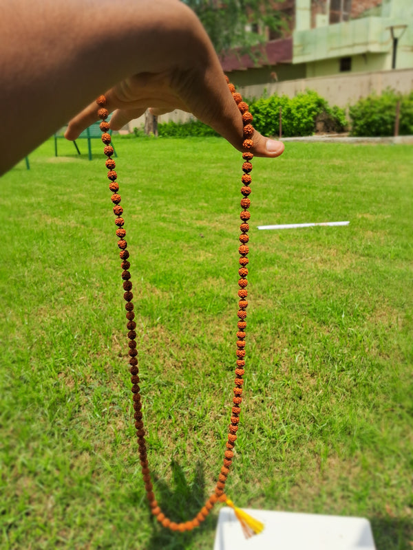 rudraksh mala