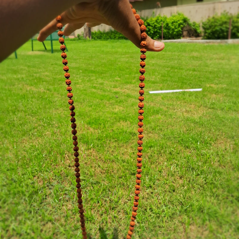 rudraksh mala