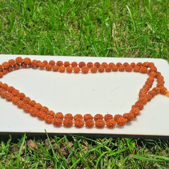rudraksh mala