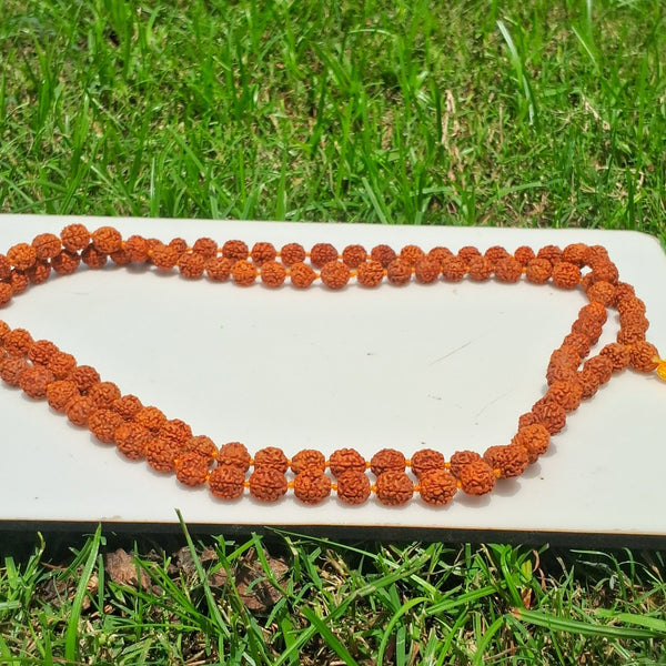 rudraksh mala