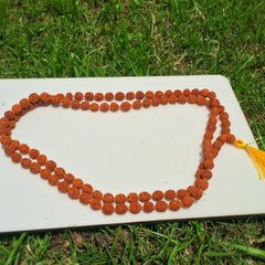 rudraksh mala