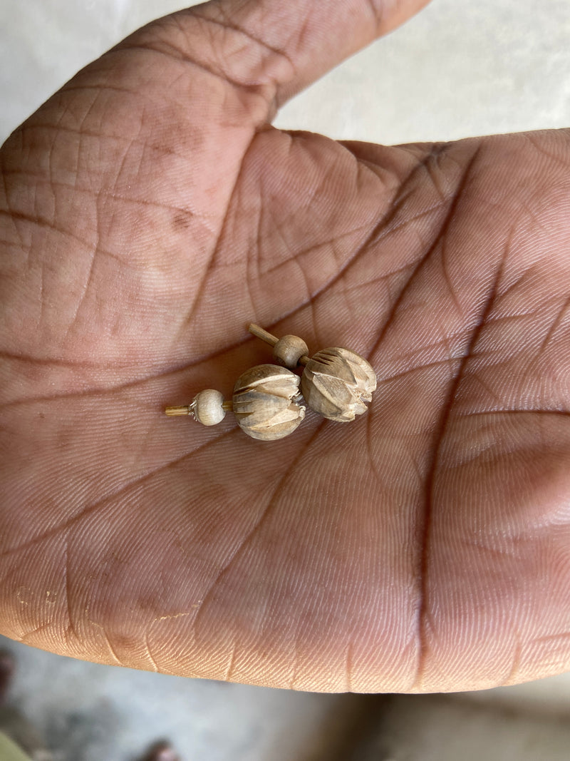 Handmade Tulsi earrings, Kamal shape ￼