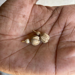 Handmade Tulsi earrings, Kamal shape ￼