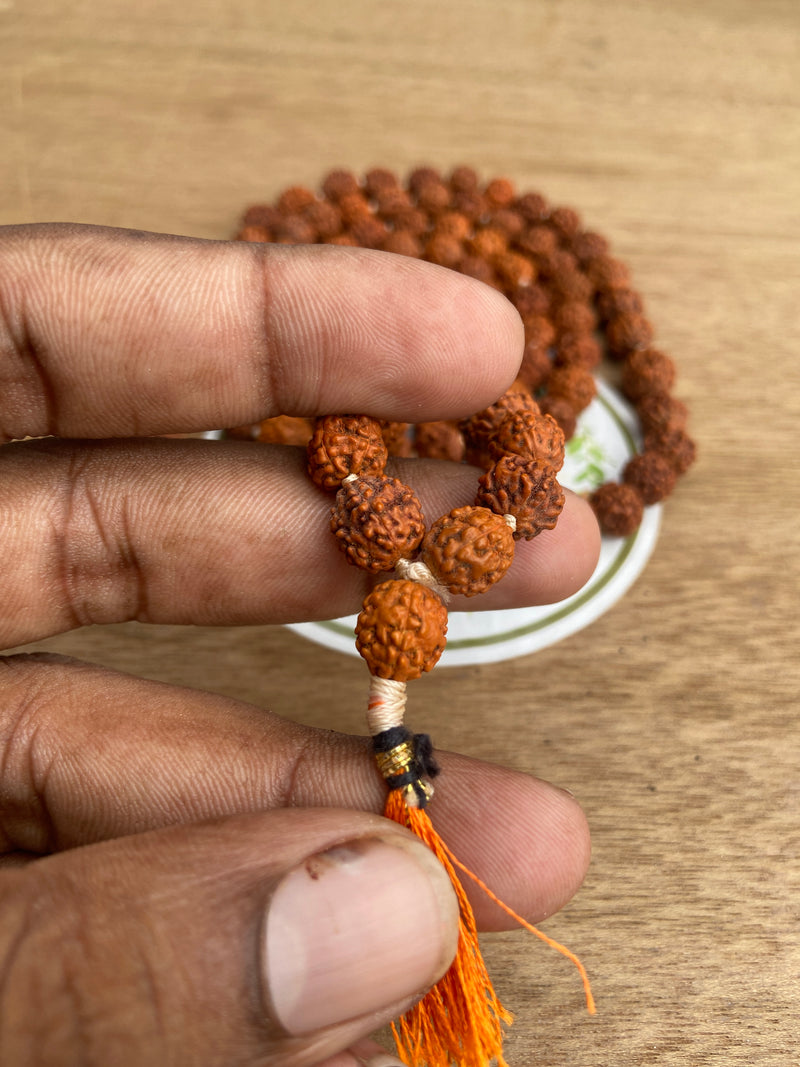 rudraksh mala