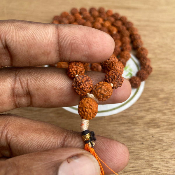 rudraksh mala