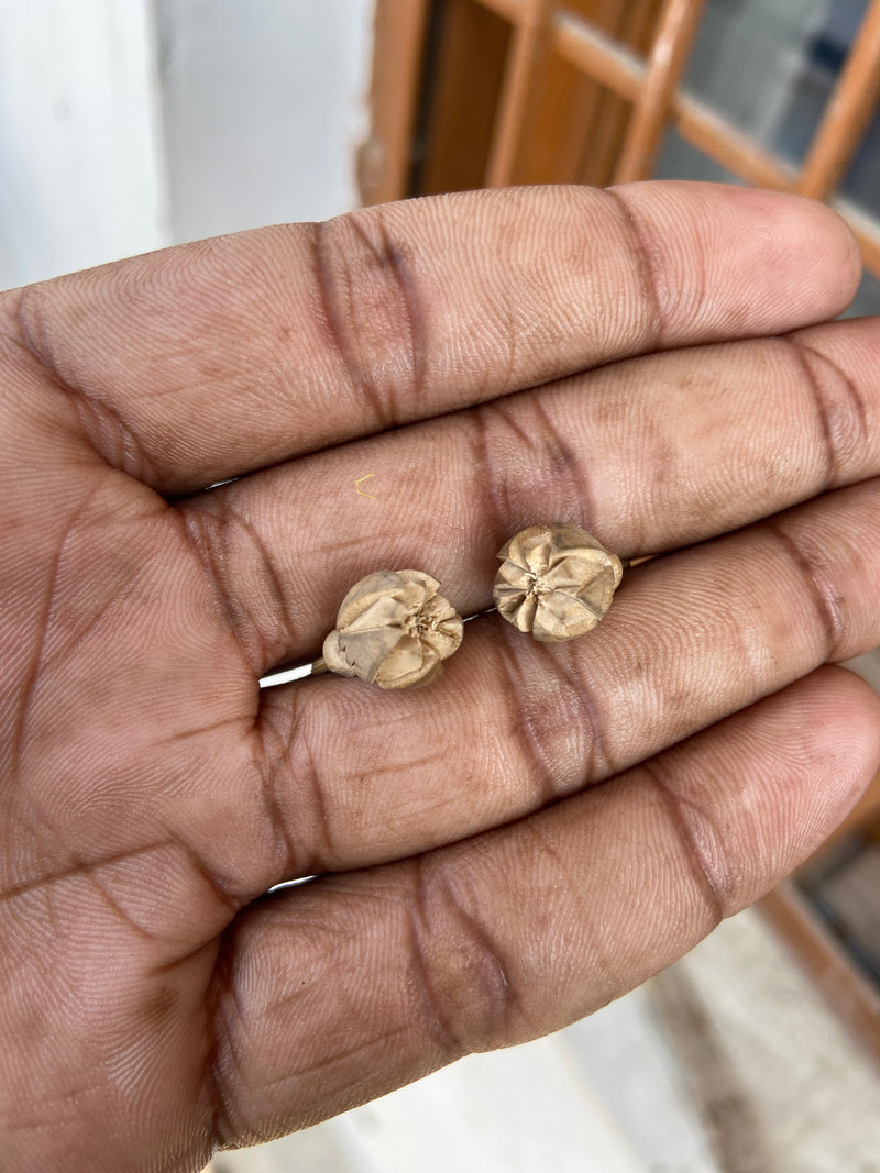 Handmade Tulsi earrings, Kamal shape ￼