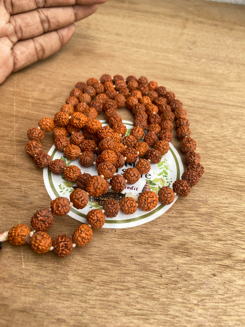 rudraksh mala