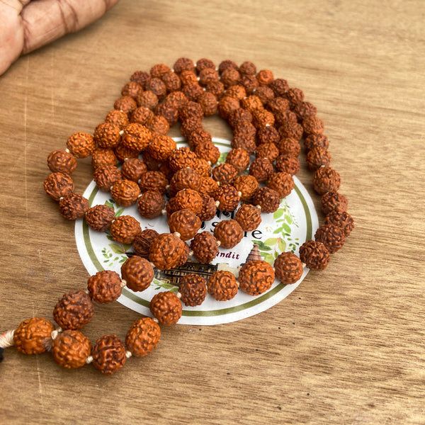 rudraksh mala