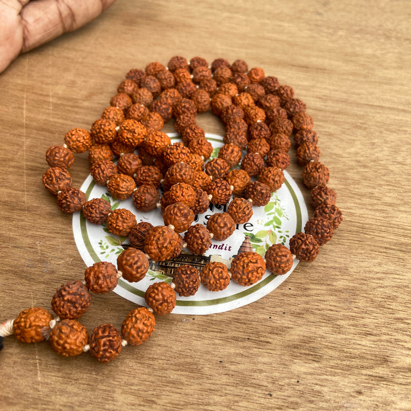 rudraksh mala