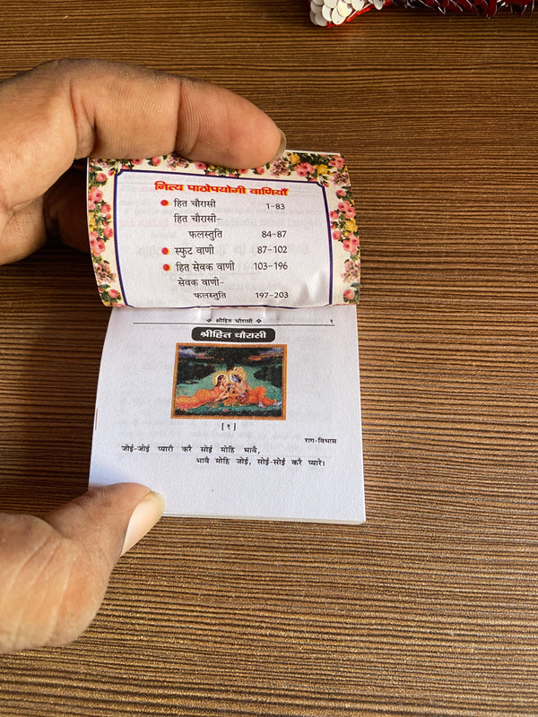 Mini Chaturasi ji book