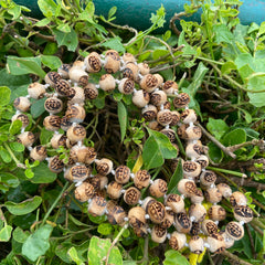 108+1 Ram Name Tulsi Jap Mala